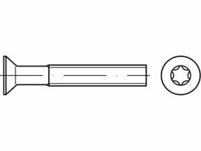 500 x Senkschrauben mit Innensechsrund ISO 14581 A 4 M 5 x 30 -T25 A 4 VES, CAB