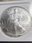 2003 ASE AMERICAN SILVER EAGLE $1 NGC MS69  Older Holder. Excellent Condition