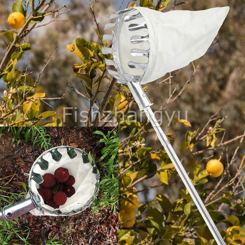Fruit Picker Tool Adjustable Fruit Picking Harvester with 150CM Telescopic NEW - Picture 8 of 9