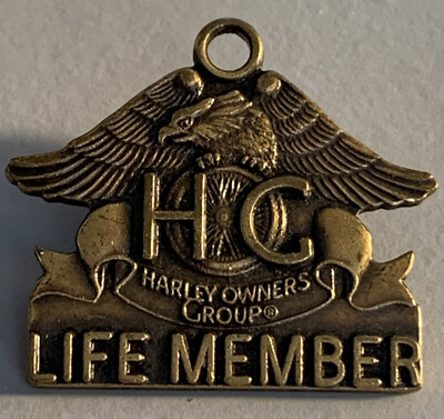 Harley Davidson Harley Owners Group Vintage HOG Life Member Chapter Pin 1993