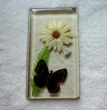 Paper Weight Black Butterfly & Daisy  1960 Or 70's By Design Gifts Made In USA