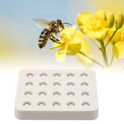 Wax Queen Grafting Cups Silicone Mold Beekeeping Beeswax Queen Cell Cups Making