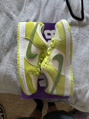 Size 8 - Nike Dunk Pro SB Low Fruity Pack - Green Apple