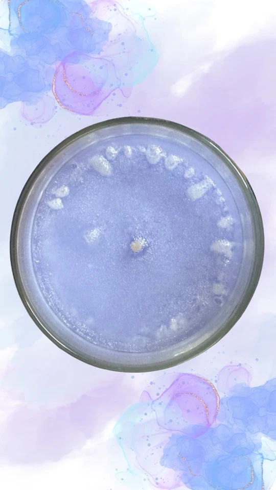 Tarro grande Yankee Candle Hydrangea etiqueta favorita de devolución Foto 2 de 4