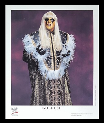 WWE GOLDUST P-761 OFFICIAL LICENSED 8X10 ORIGINAL PROMO PHOTO FROM 2002 RARE