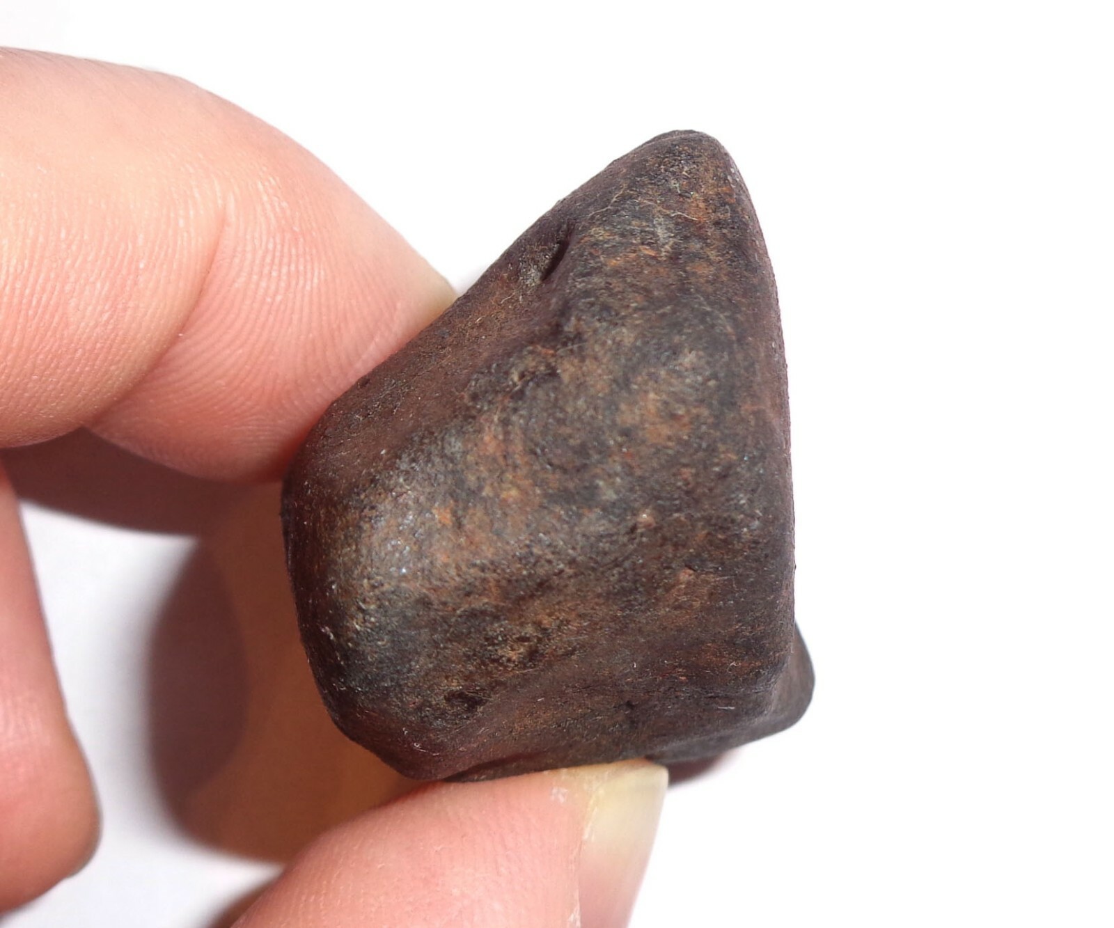 NEWEST! OZERKI meteorite L6, fall June 21, 2018, Russia, individual 75.4 grams - Picture 5 of 9