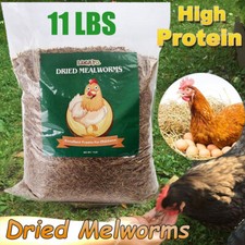 11lbs Dried Mealworms for Chickens Organic Meal Worms Chicken Treats Duck Feed
