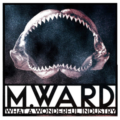 M. Ward What a Wonderful Industry (Vinyl) 12'' Album