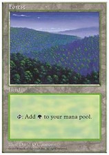 Forest B - Heavy Play MTG 5th Edition