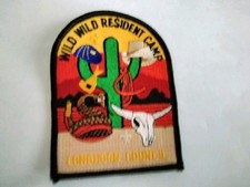 Boy Scout, Longhorn Council Wild Wild Residen...