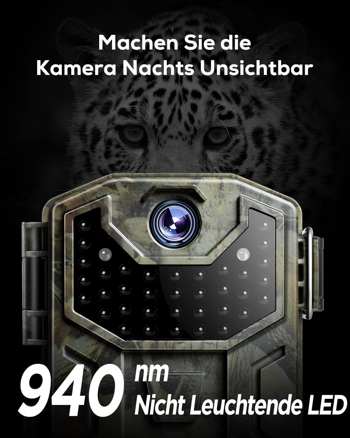 Bild 2 von 12