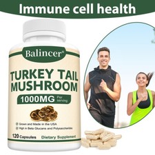 Turke Tail Mushroom Supplement Immune Support Digestive Cleanse Gut 120 Pills