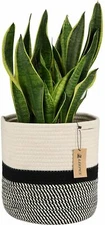 Jute Rope Plant Basket Modern Woven Basket for 10" Flower Pots Floor Indoor 
