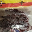 Berkley & Chompers Mixed Lot Soft Plastic Freshwater Baits/Worms & Grubs — photo 8