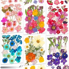 120 PCS Real Pressed Flowers, Natural Dried Pressed Flowers for Resin, Dried ...