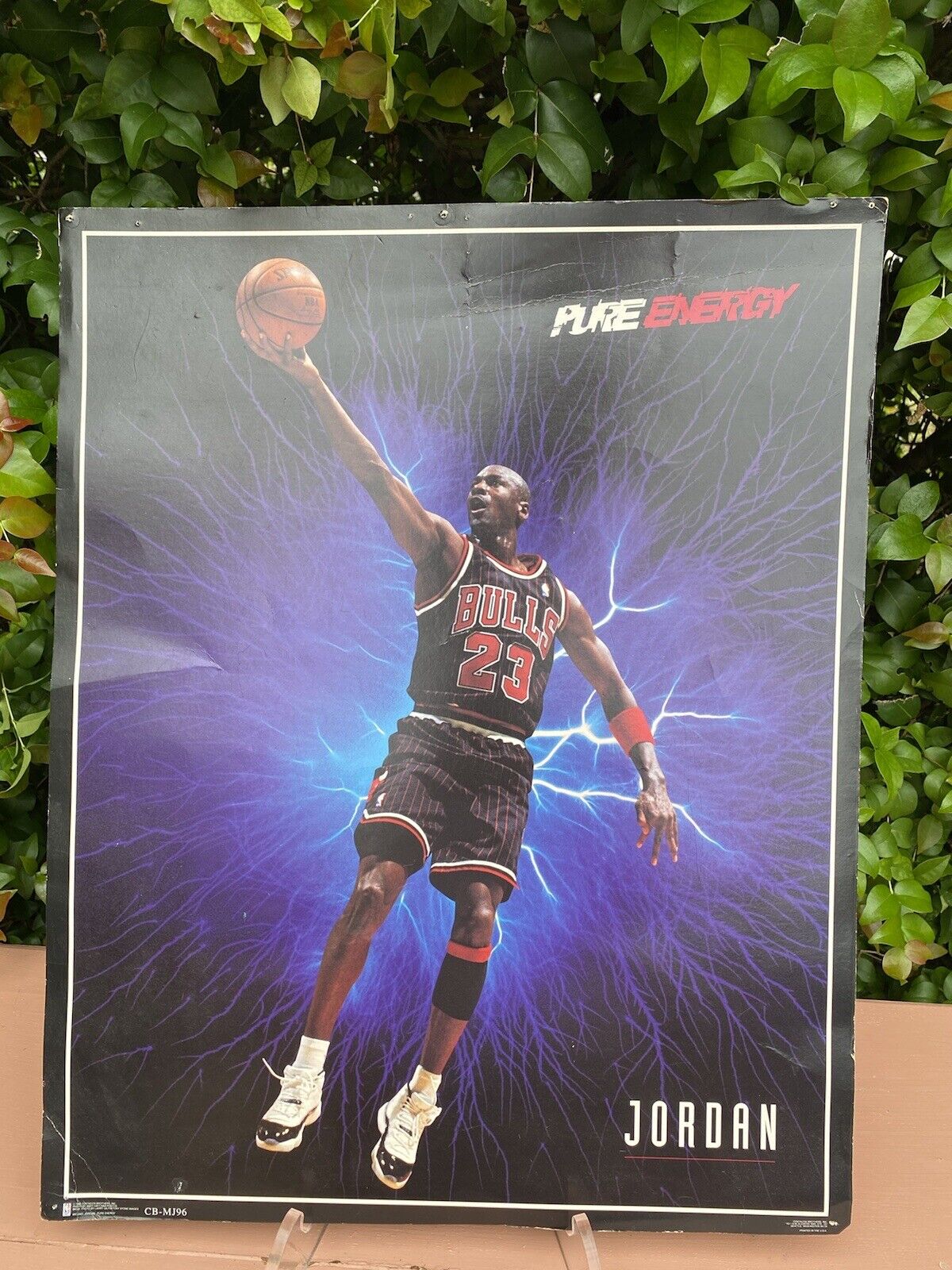 Michael Jordan Pure Energy Card Stock Poster 1996 MJ96 VINTAGE 20 X 16 |  eBay