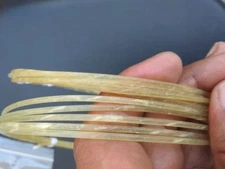 G -  Gut String Upright Double Bass quantity 4 stringS