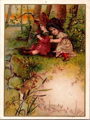 AMERICAN BREAKFAST CEREALS ABC WHEAT TRADE CARD Hummingbird Wheat