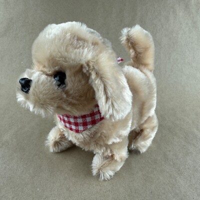 Pet Sitting Paw Pals Dog Westminster Paw Pals Redley The Golden