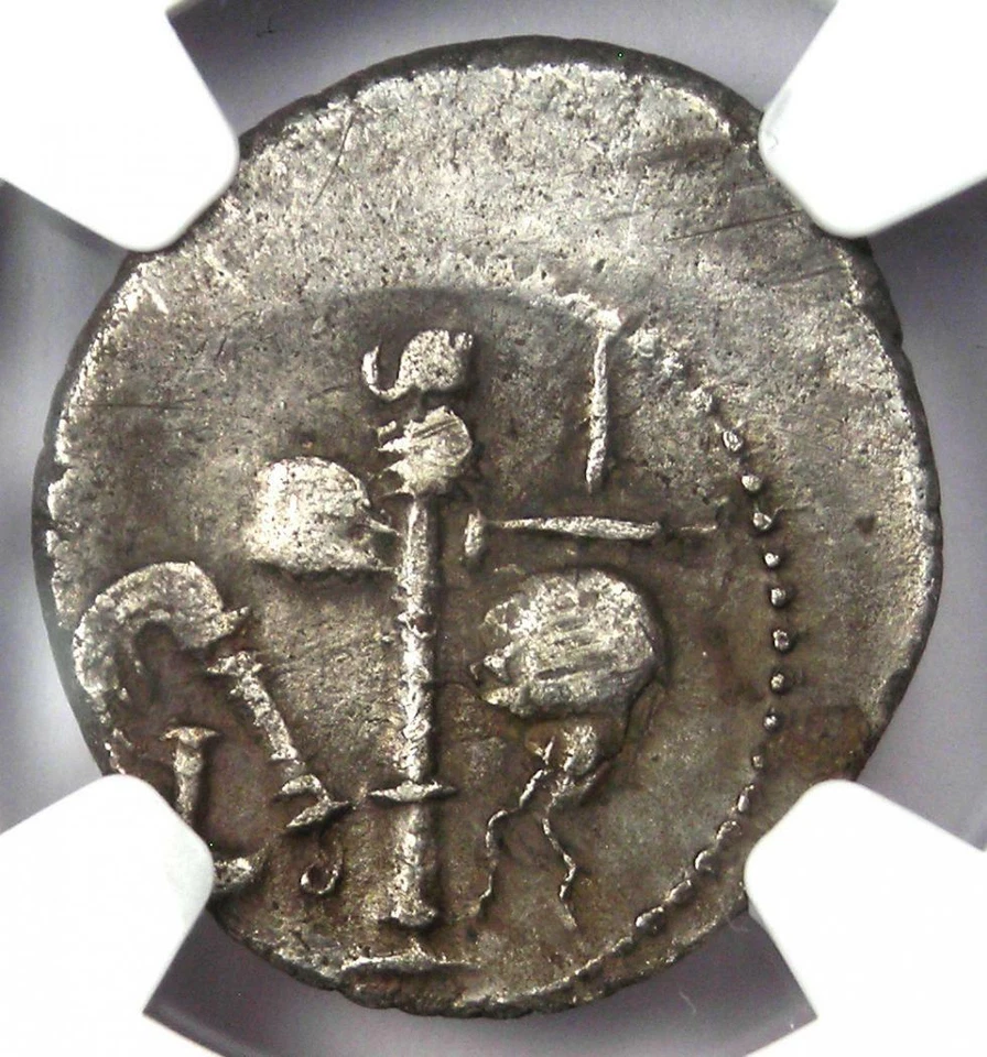 Julius Caesar AR Denarius Silver Elephant Roman Coin 49 BC - NGC Choice XF (EF) - Image 4 of 4