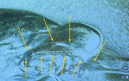 1964 Washington Quarter Error. Int. Die Break In Hair. 90% Silver. UNC! WQ-052 - Picture 5 of 8