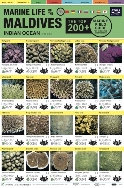 Maldives Marine Life Field Guide:top 200
