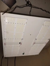 Horticulture lighting group 650R Diablo Commercial Led Grow Light.