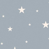 A.S. CréAtion | Il Decoro | 324403 | Vliestapete | Muster | 10.05X0.53 M | Grau