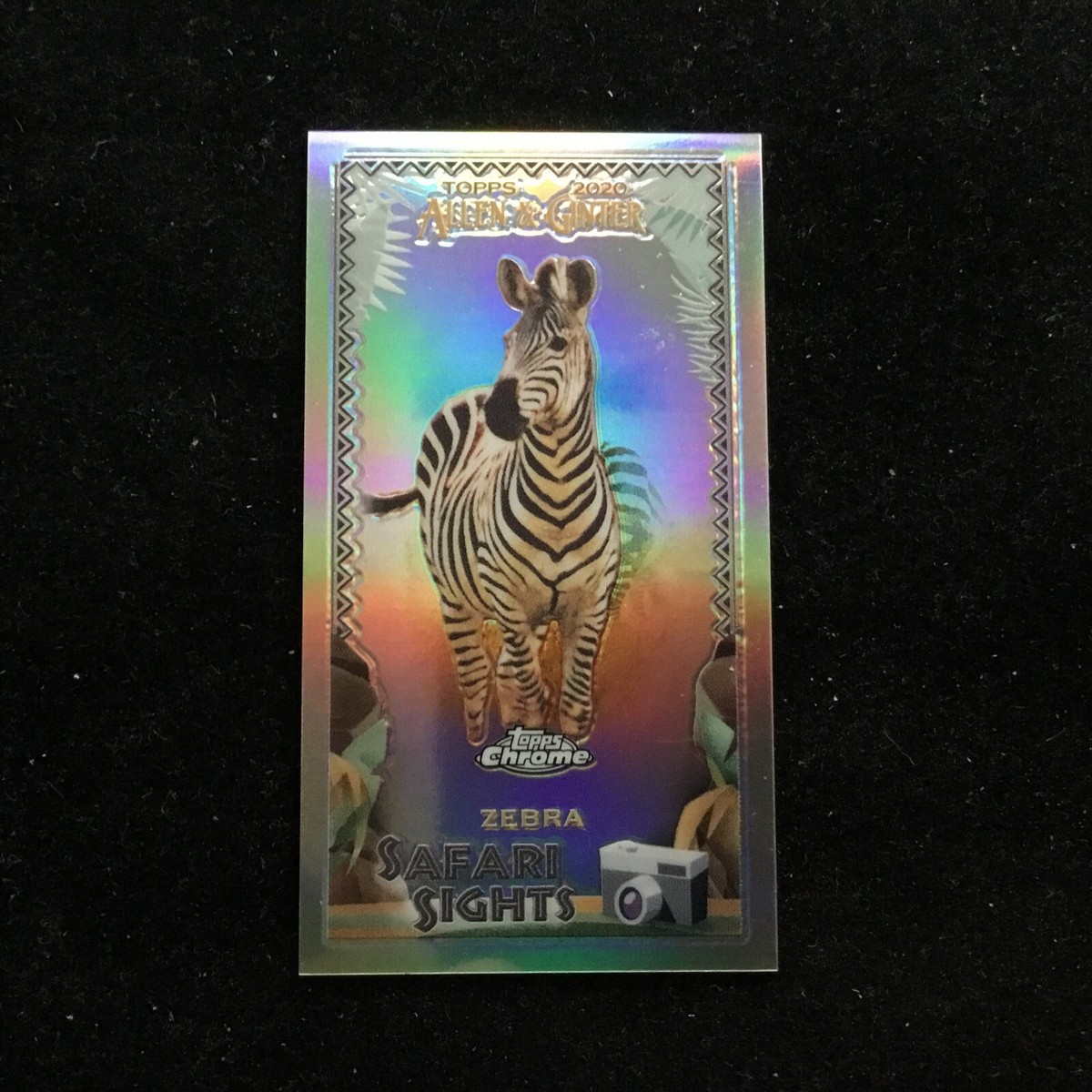 2020 Topps Allen & Ginter Chrome Mini Safari Sights #SSC-11 Zebra