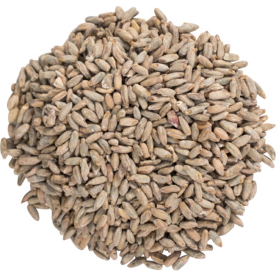 Rye Malt 10 lb for Homebrewing Beer Making / Distilling Grains
