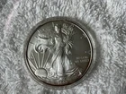 New Listing2009 American Silver Eagle $1 Dollar 1 oz. coin .999 FINE not professional grad