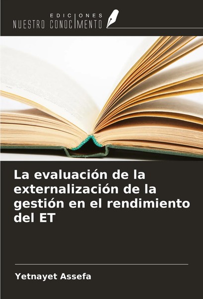 Yetnayet Assefa | La EvaluacióN De La ExternalizacióN De La GestióN En El...-image