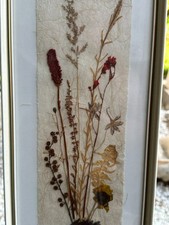 COLLAGE ECHTE NATURBLUMEN IN HANDARBEIT ZUSAMMENGEFÜGT RAHMEN