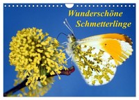 "Calendar 2027 · US Version · Beautiful Butterflies (Wall Calendar 2027 12\" × 8\""