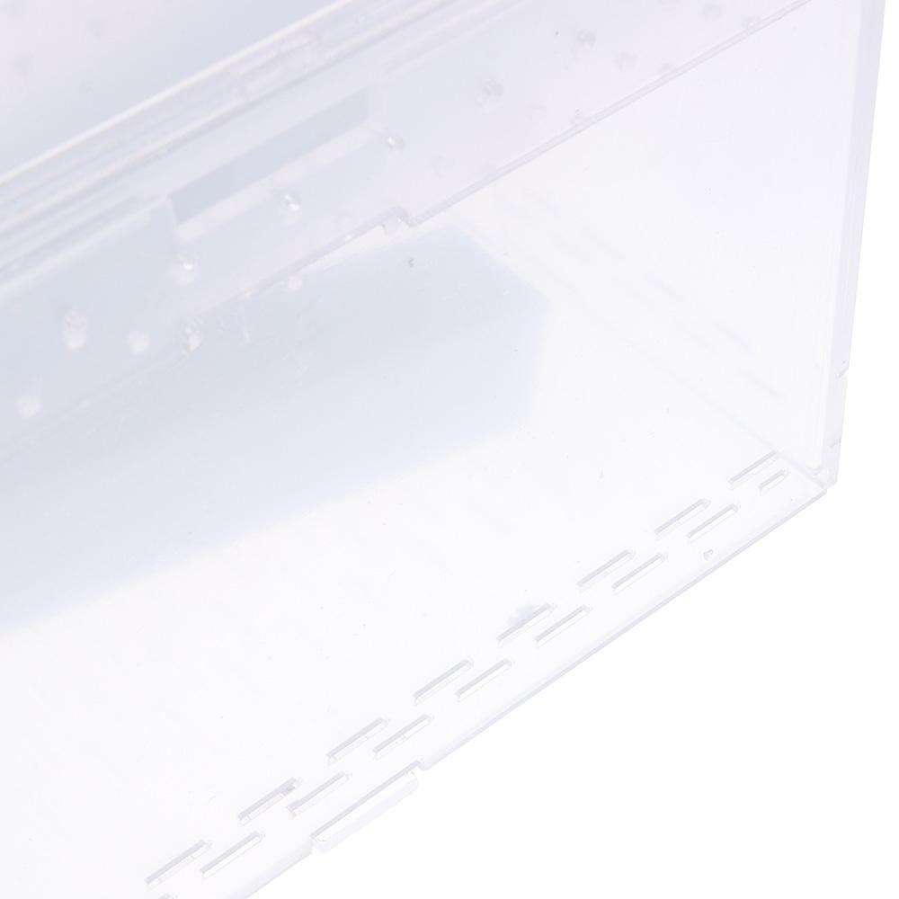 Kit Allevamento Api Regina - 50 Tazze Plastica, 16x19 Mm, Per Apicoltura