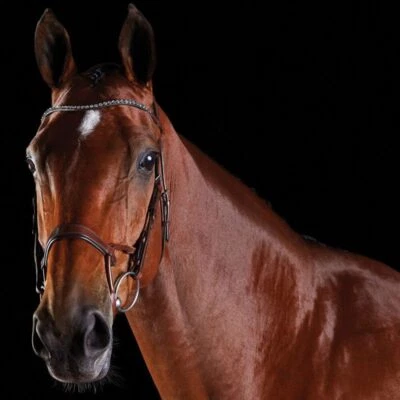 Collegiate ComFiTec Kristall Trense