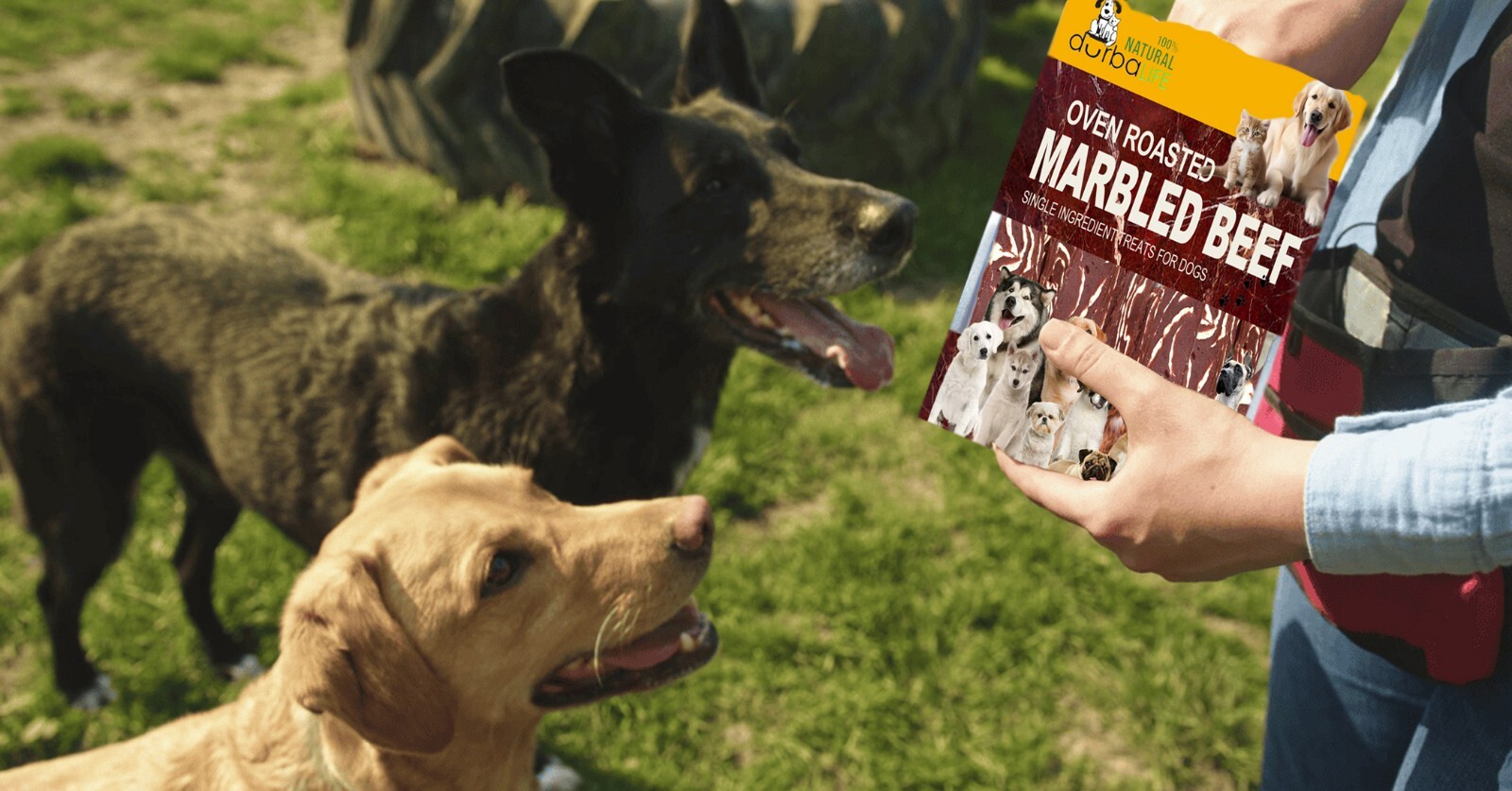 Marbled Beef Cubes Oven Roasted Dog & Cat Treats Food Topper 6.1oz Tasty Chews