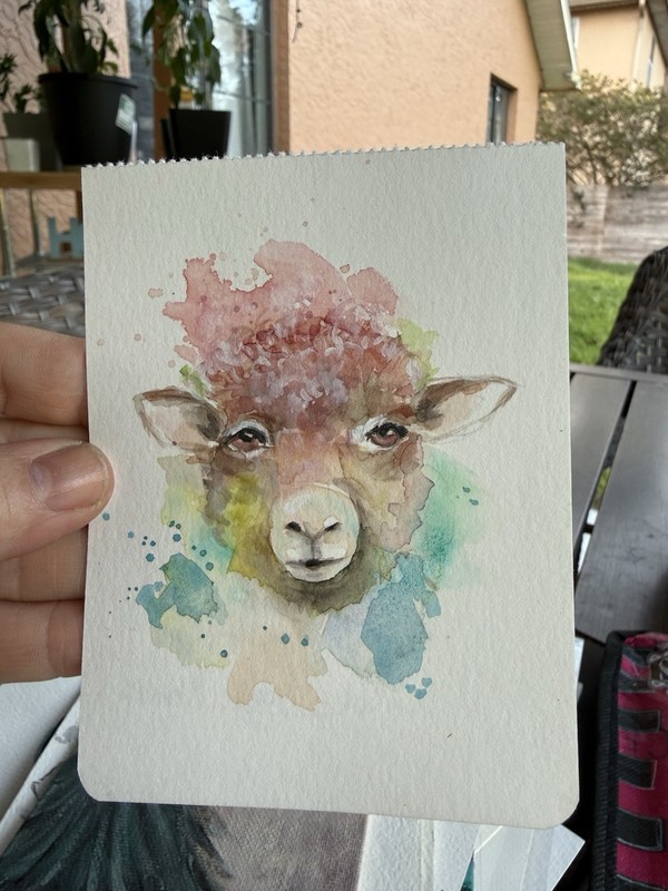 Watercolor Sheep