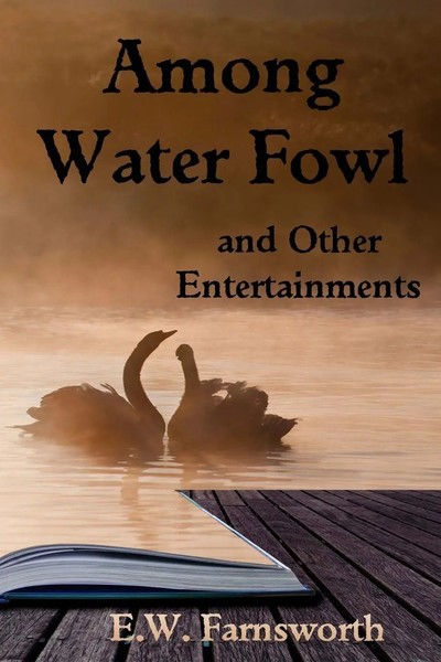 E. W. Farnsworth | Among Water Fowl | Taschenbuch | Englisch (2016)-image