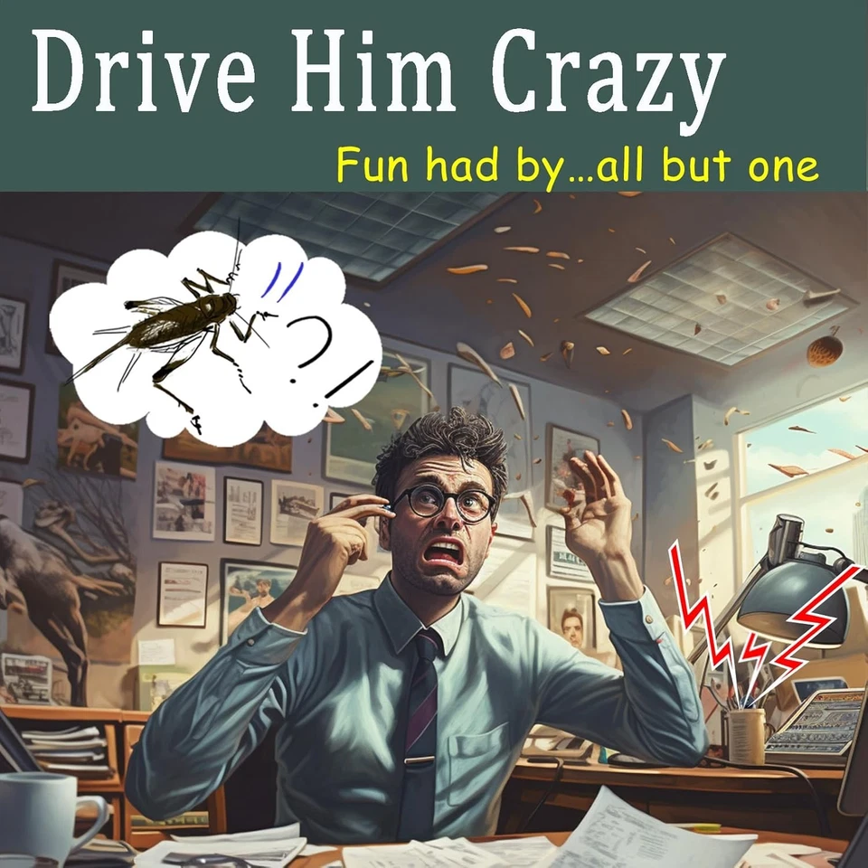 Brincadeira de fabricante de ruído de críquete (pacote com 3) bip vários meses brincadeira escondida - Imagem 3 de 4