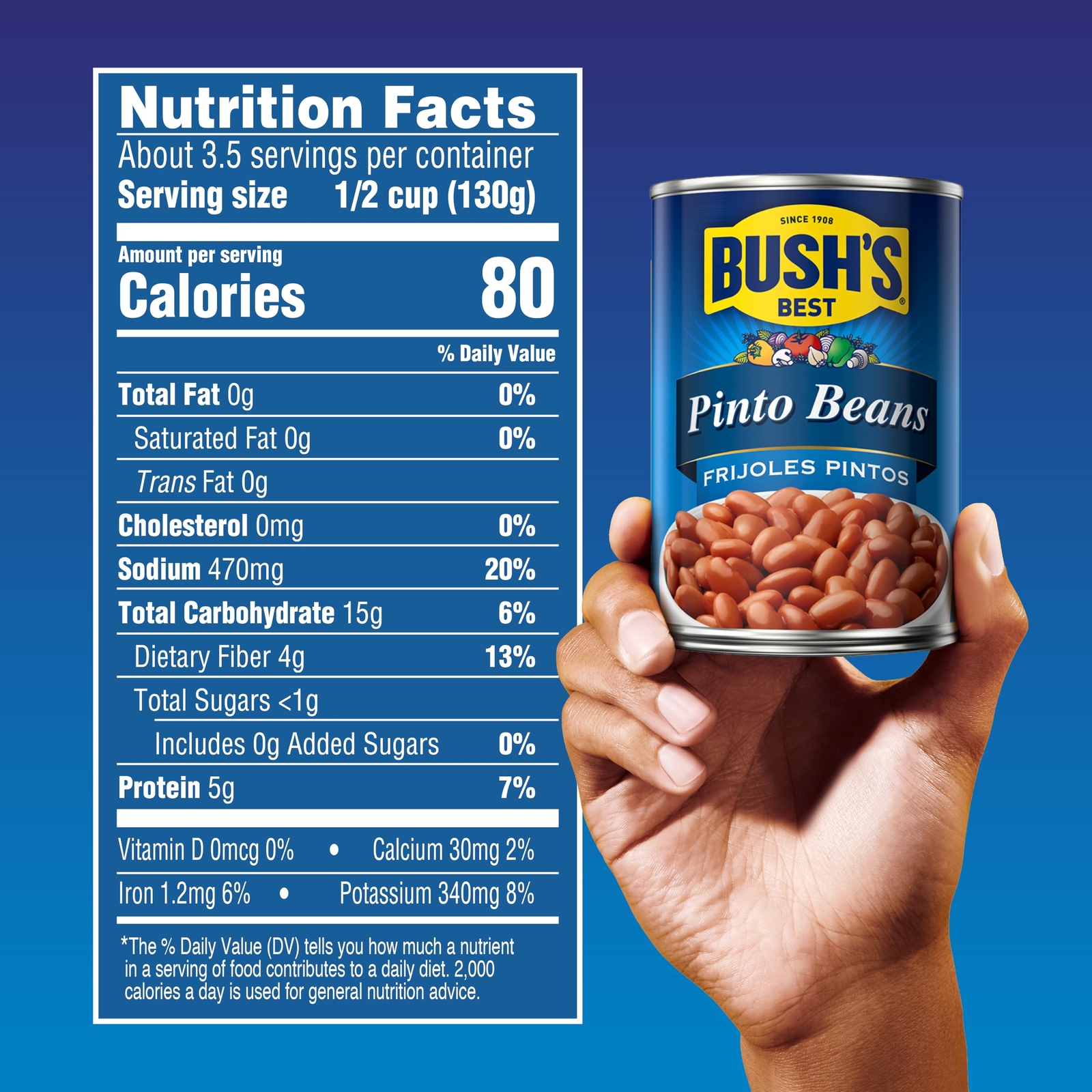 BUSH'S BEST 16 oz Canned Pinto Beans Source of Plant Based Protein and Fiber ...
