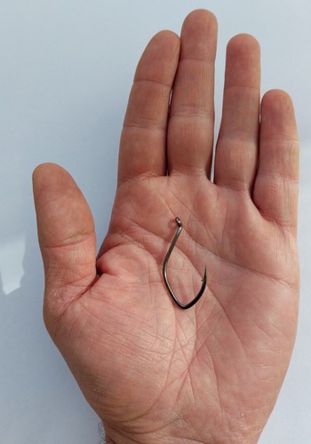 Ami da Pesca Traina col Vivo con Occhiello Mare Dentice Cernia Amo Live Bait 1/0 - Foto 3 di 4
