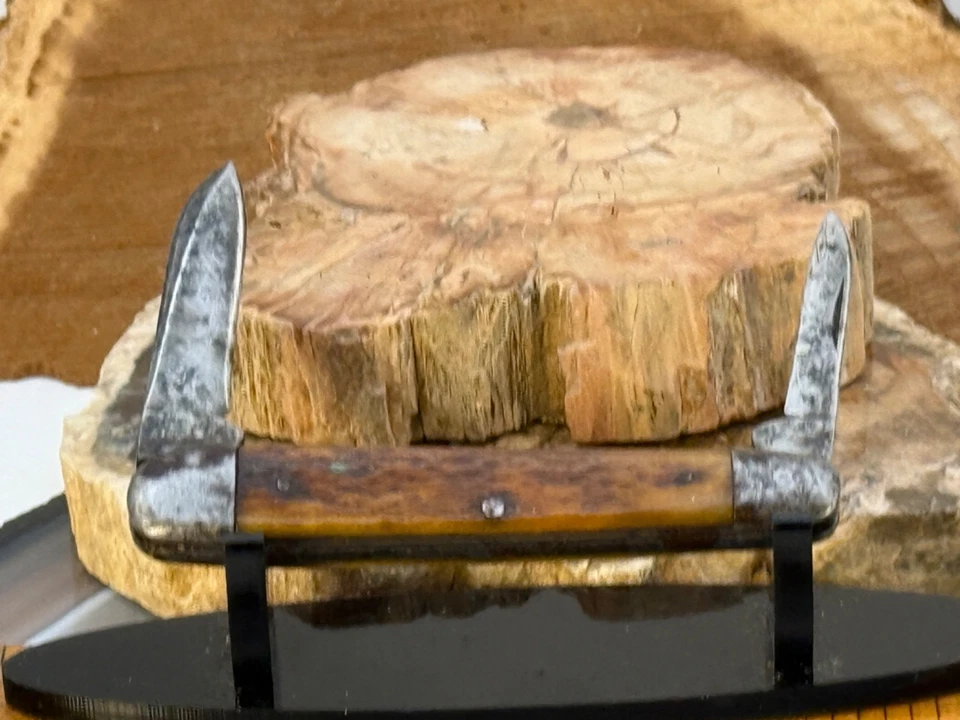 Antique Cattaraugus Little Valley NY 2 Blade Bone Handled Pocketknife--2340.25 - Image 2 of 4