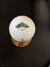 The Sagamore Resort Logo Golf Ball Bolton Landing, NY Free Shipping