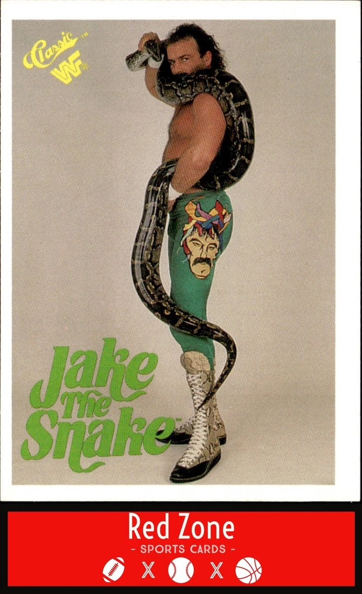 1989 Classic WWF - Jake 