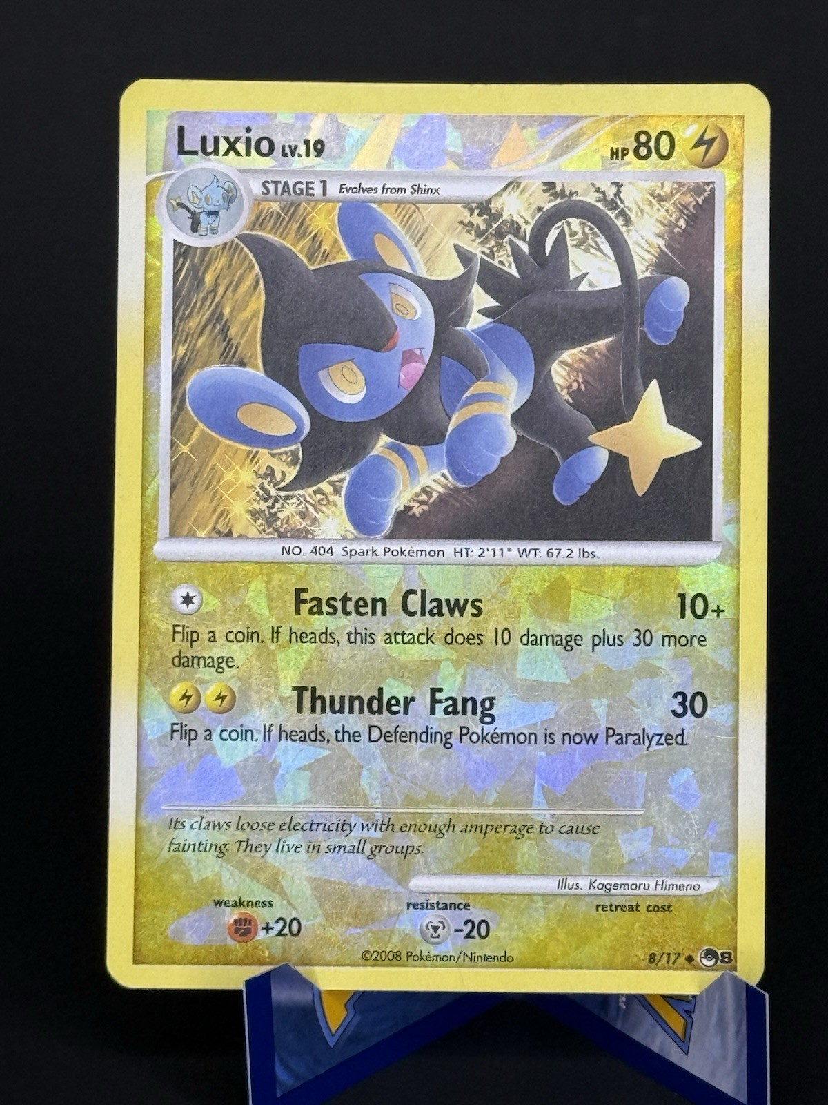 Luxio 008/017 POP Series 8 Holo English 2008