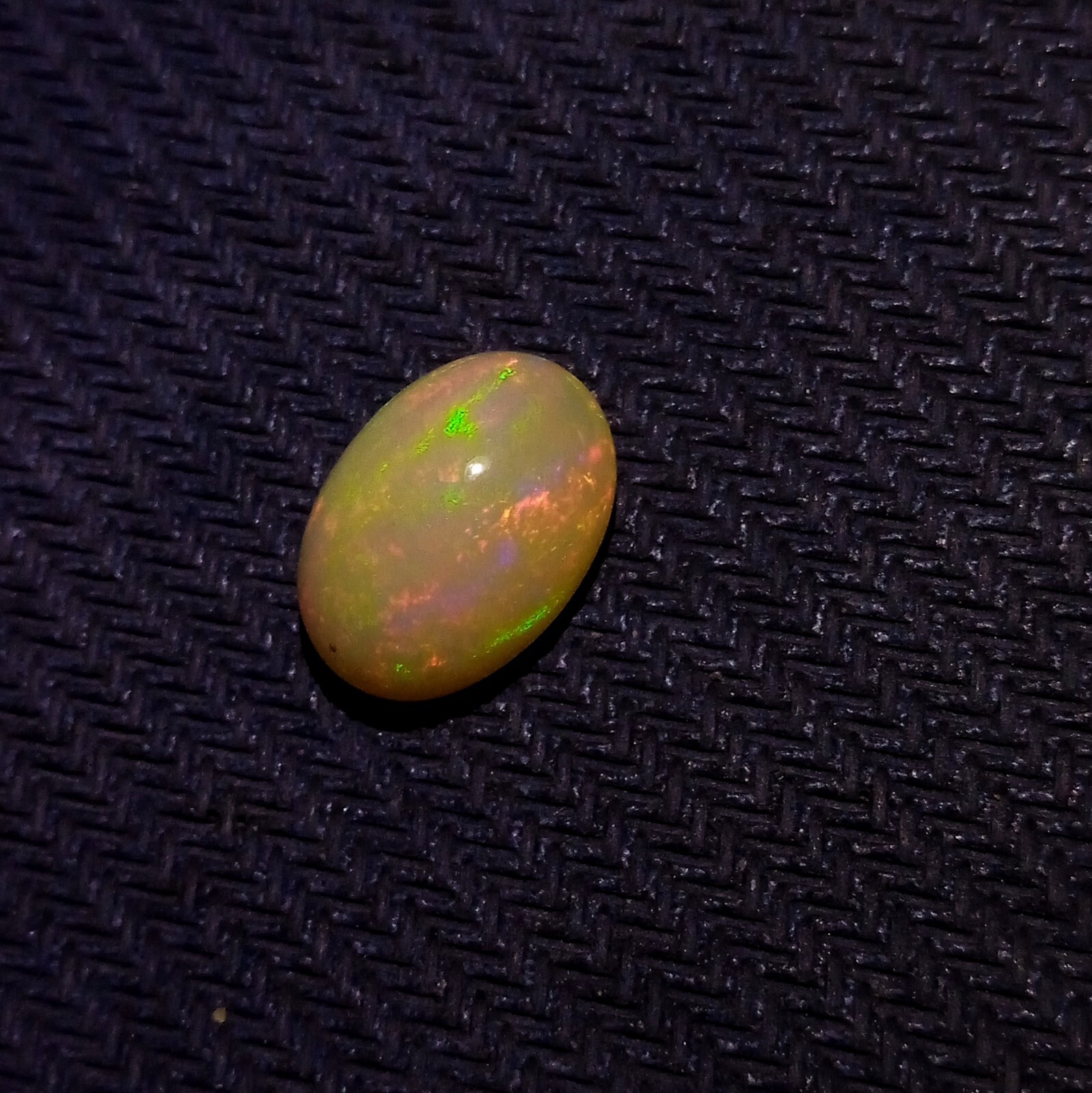 Picture 6 of 24