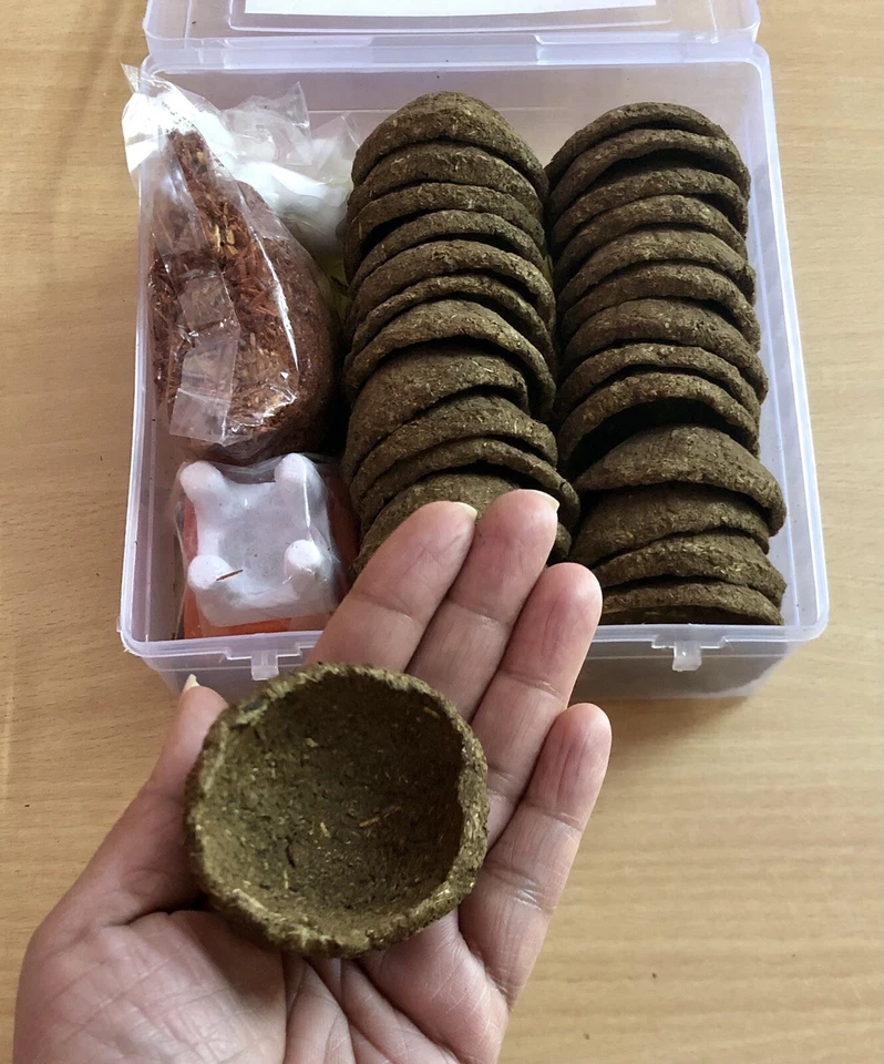 26 Pc Desi COW DUNG DIYAS + Havan Samagri + Sukshm Havan Vedi- Yagyopathy Kit - Photo 2/4