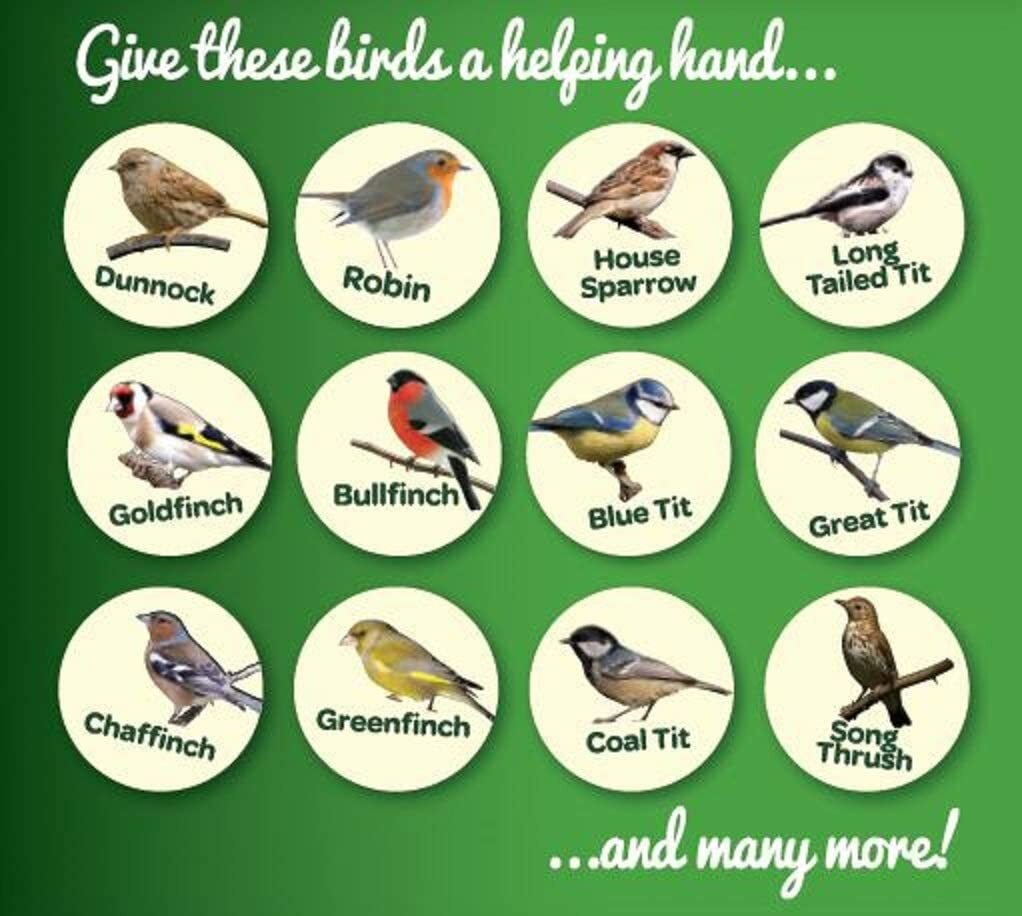 Peckish Complete Seed & Nut No Mess Wild Bird Food Mix Bountiful Feast