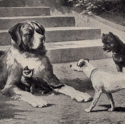 Saint Bernard Rescues Kitten Small Dogs Garden Scene 1894 Antique Print